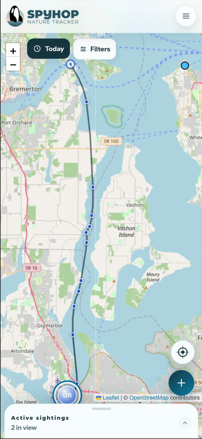 Spyhop mobile map showing an orca movement track and the active sightings sheet